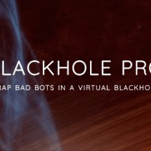 WP安全防护插件Blackhole Pro专业版v2.5-让恶意爬虫陷入虚拟黑洞