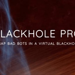 WP安全防护插件Blackhole Pro专业版v2.5-让恶意爬虫陷入虚拟黑洞