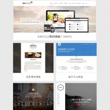 Enfold主题汉化版V4.8.1-极速简单的wordpress主题 含教程+插件