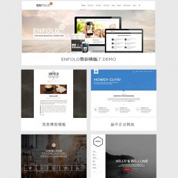 Enfold主题汉化版V4.8.1-极速简单的wordpress主题 含教程+插件