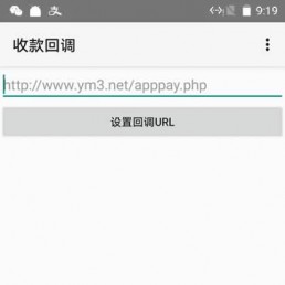 「亲测」APPPAY码支付源码-个人免签支付系统微信支付源码 带监控App