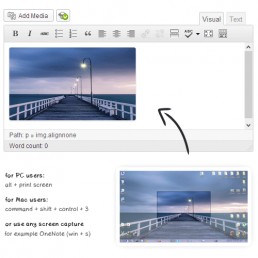 WordPress图片快速复制插件OnePress Image Elevator汉化版2.6.2版本