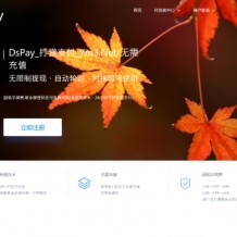 PHP聚合支付源码下载-DSpay个码免签支付源码 带监控app+多个支付通道自动轮训+代付