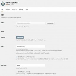 「亲测」WordPress插件邮件发送设置WP Mail SMTP Pro汉化版v3.2.1