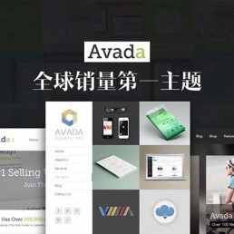 wordpress模板|多用途Avada主题汉化版V7.6.1下载 带秘钥+插件+演示数据