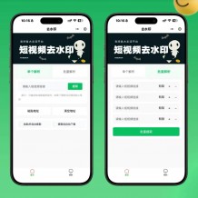 2026最新视频去水印小程序源码v1.6.5 抖音快手无水印下载 带流量主变现
