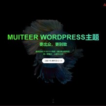 WordPress作品展示主题Muiteer v2.3破解无限制版