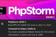 phpstorm汉化包下载-支持打开设置、支持不同版本汉化