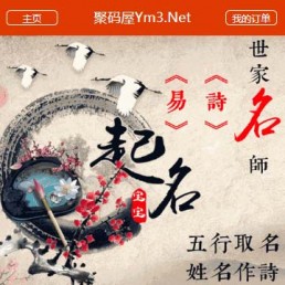 「亲测」PHP周易网站源码-八字取名/在线付费宝宝起名网站源码