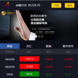 2020YII框架微盘系统-美金版外汇股指点位盘源码 带风控+手动结算