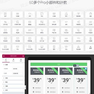 WordPress可视化编辑器插件Elementor Pro v2.8.4汉化版