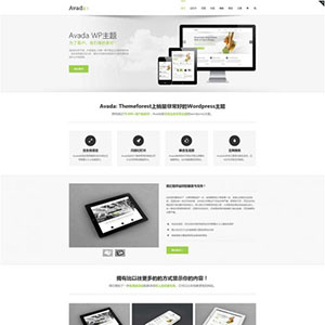 Avada主题V6.2.3中文汉化版含正版密钥-多用途网站WordPress模板