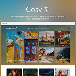 Cosy主题v3.0破解版下载-WP超强DIY布局漂亮得不像实力派