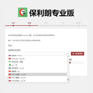 Polylang Pro插件激活版v3.1.1-WordPress多语言插件翻译插件下载